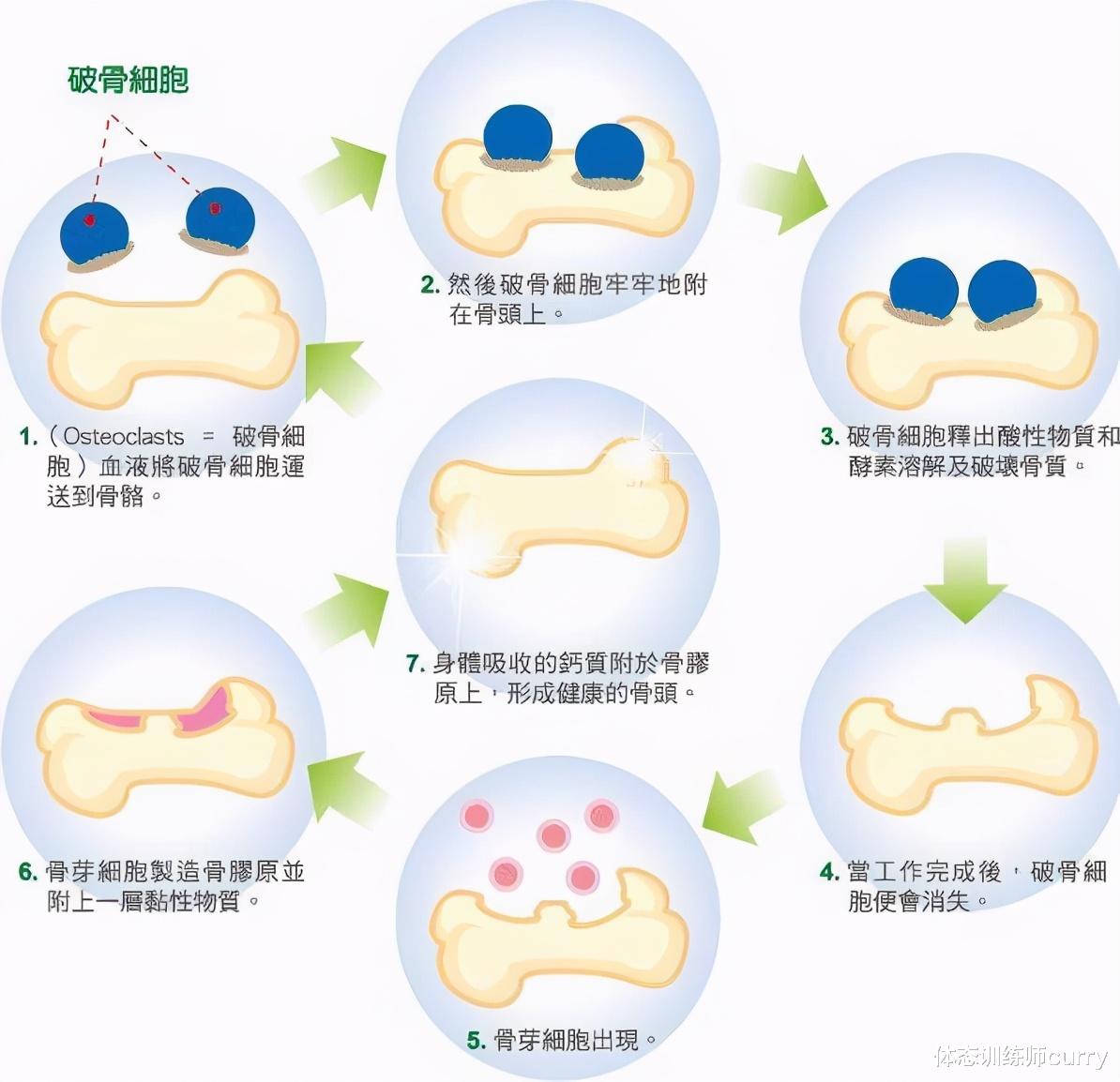 运动|6岁“腹肌男孩”走红，过早进行力量训练有害吗？科学依据告诉你
