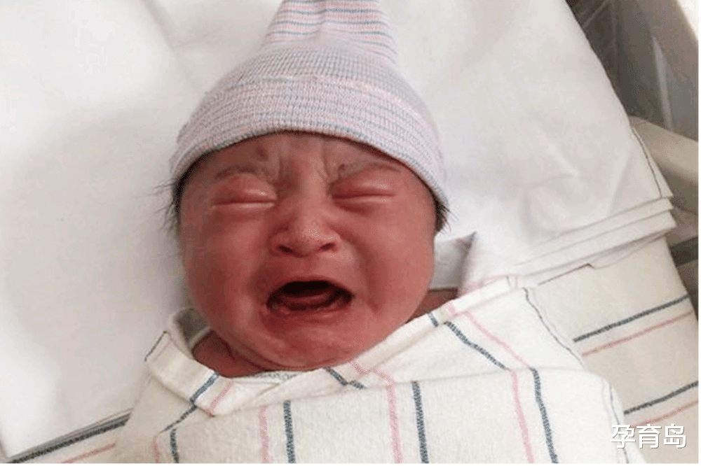 孕育岛|这些现象出现,可能暗示孩子“智力不足”,父母要多观察不能忽视