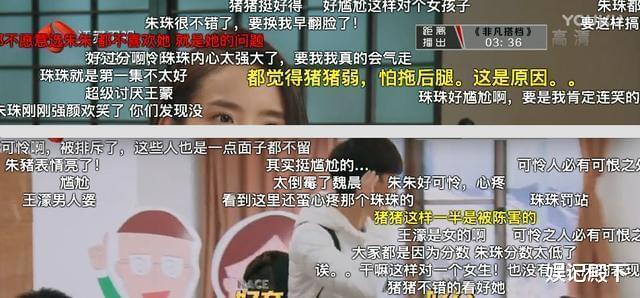 杨洋|如果不是亲眼看这个综艺，我真不会相信，明星间的恶意竟然这么大