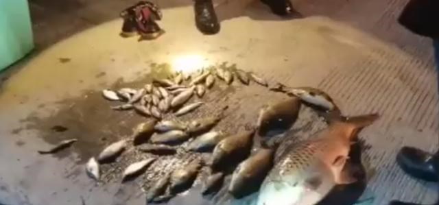 足迹写乎 20斤鱼赔了5000条，湖南武冈4男子摊上事了，网友：以后就这样办