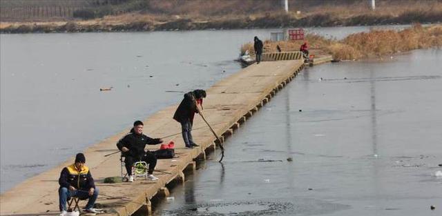 大沽河|山东大沽河水面冰封，大量钓鱼人开启冰钓模式，场面壮观鱼获很少