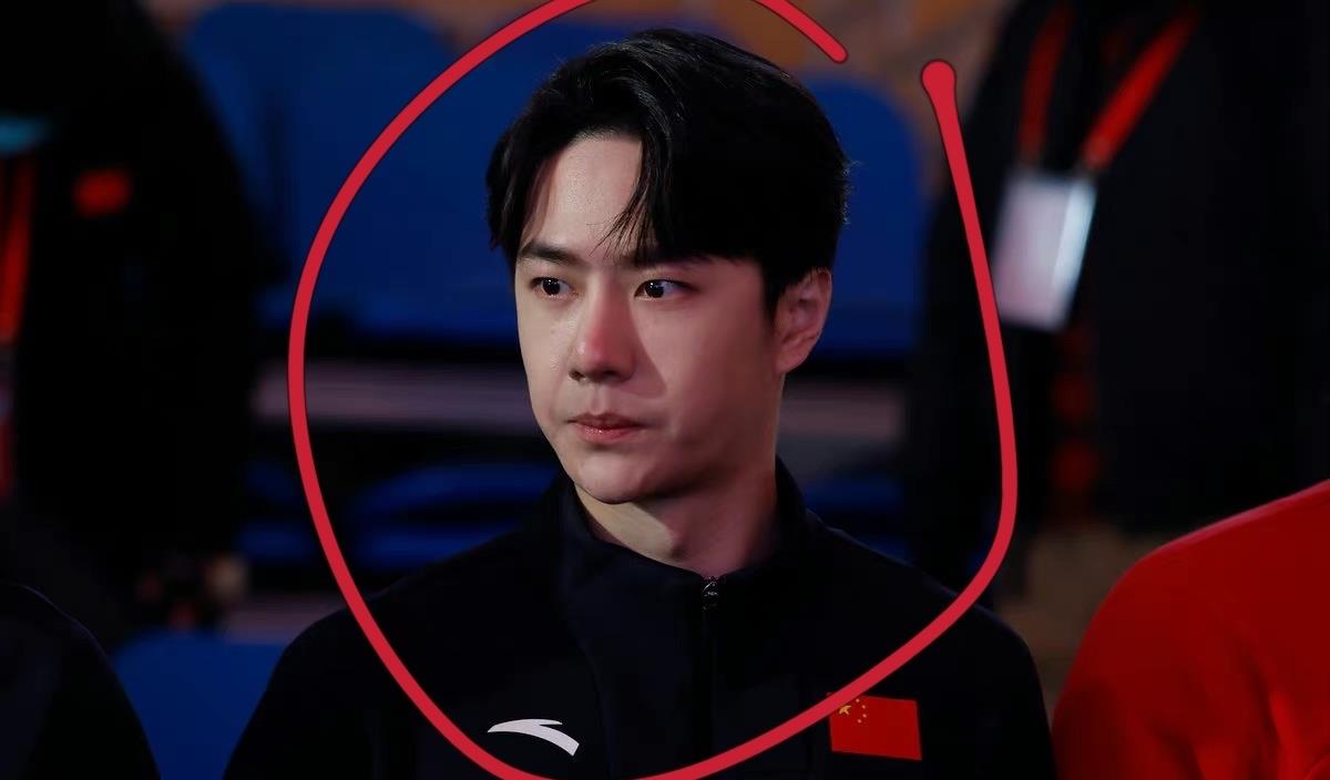 王一博|王一博亲自给杨倩颁发证书！和黄子韬站在一起，太冷鼻子冻得通红