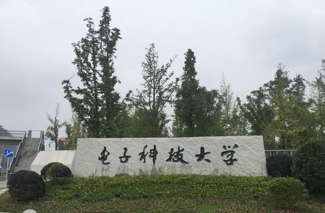 家中大小宝|十所双一流大学的录取分数解析，电子科大、东南大学高于华科吗？
