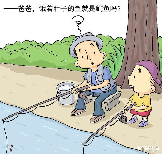 蝴蝶|夏天钓鱼饵料有讲究，不能盲目用，别人连杆你没口，原因就在这