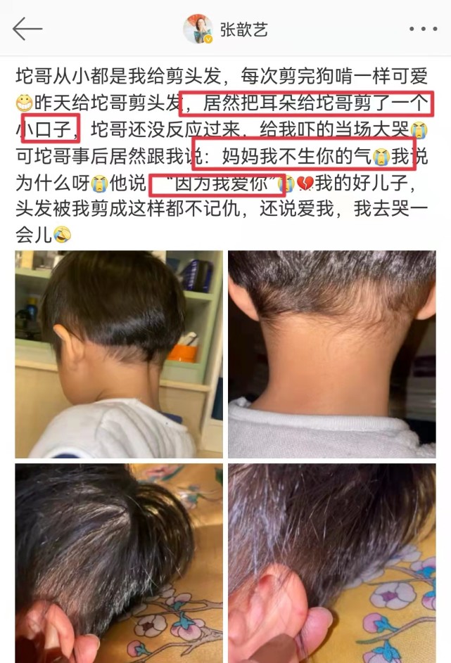 王一博|张歆艺不小心划伤儿子耳朵，秤砣反过头来安慰：妈妈我不生气，因为我爱你