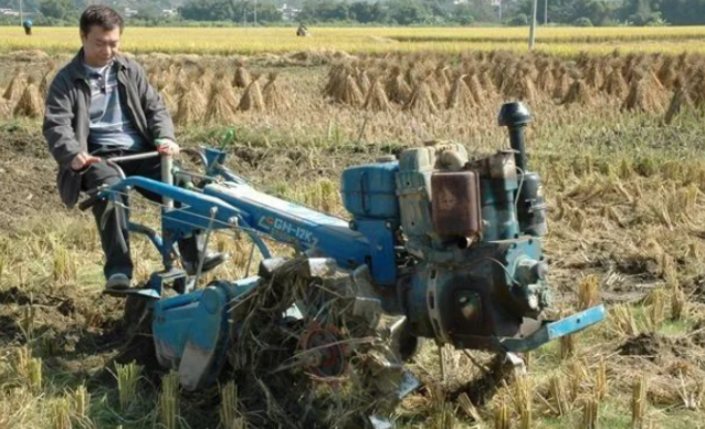 十万个家居为什么|阿灿廖伟雄晒出自己的生活，上世纪红透半边天，如今回广东当农民