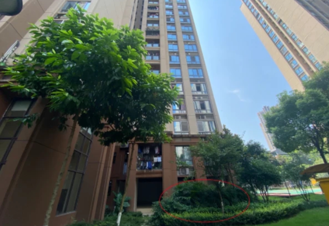 b级车 亲手杀死自己两个子女的渣男称自己不懂法