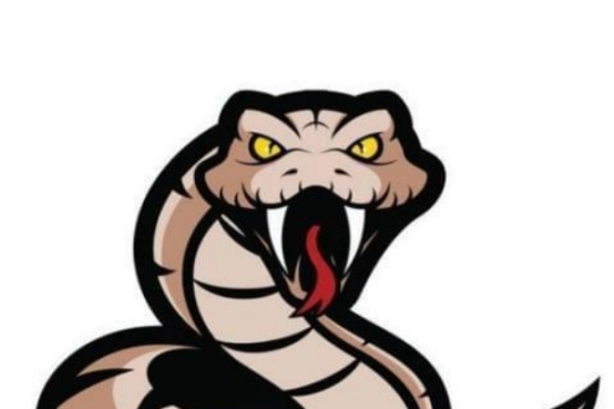 眼镜王蛇 世界上体型最大的无毒蛇,实力有多强悍?和眼镜王蛇比谁会更强?