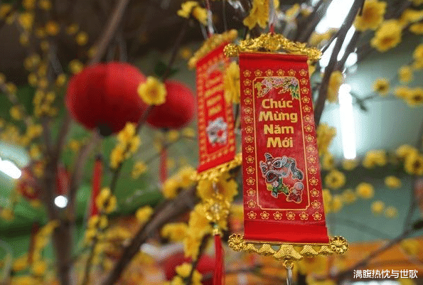 苏里南|南美最“奇特”的国家，讲中文过春节，并且遍地是中国人