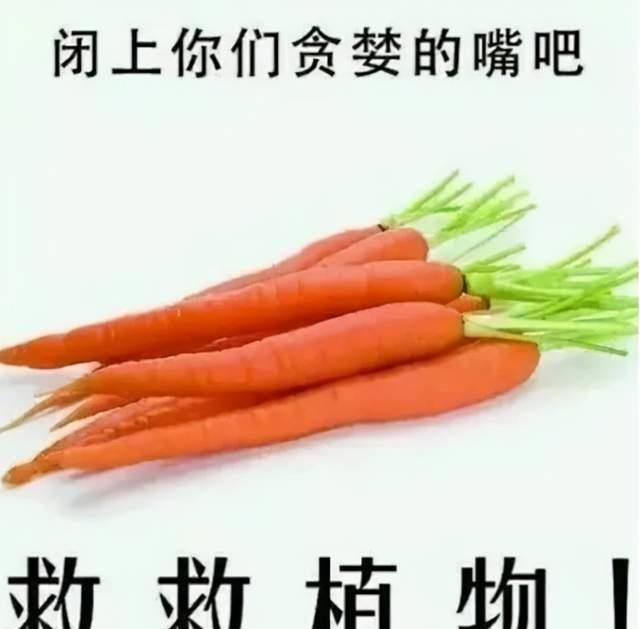 明星 45分钟明星公益视频，遭网友集体怒喷，关晓彤小陶虹都在其中