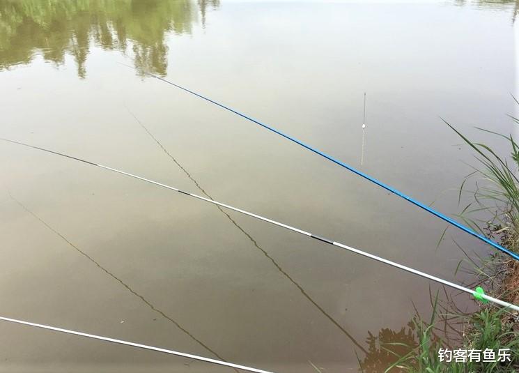 饵料|夏天钓鱼找钓点，在这几个地方作钓，别说是钓鱼，就是虾也钓不到
