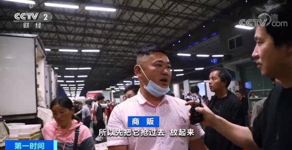 北京日报客户端 商家上演“抢鱼大战”，有海鲜价格上涨三成！怎么回事？