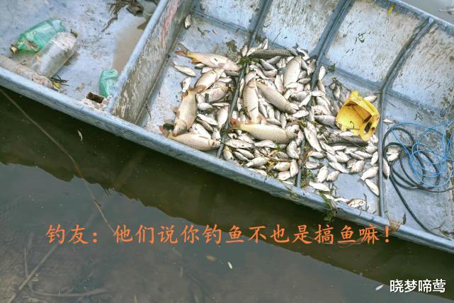 |一小时不到电几十斤鱼？安徽钓友碰到有人电鱼，船过之处死鱼一片