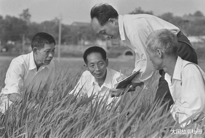 袁隆平|袁隆平2次失恋不失志，第3任女友与其闪婚，给他1颗珍贵的“种子”