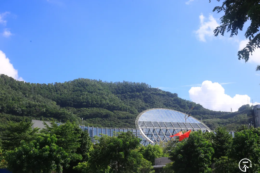 泉州|深圳南山有个“低调”村，个个月薪上万？