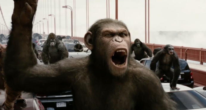 核酸检测 动物为何会模仿游客打架?专家称这种情况并不罕见,它们在进化?