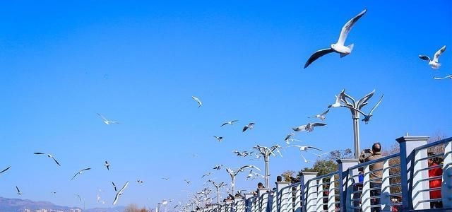 云南 云南一县市发展被看好，境内有两处5A级景区，未来可期！