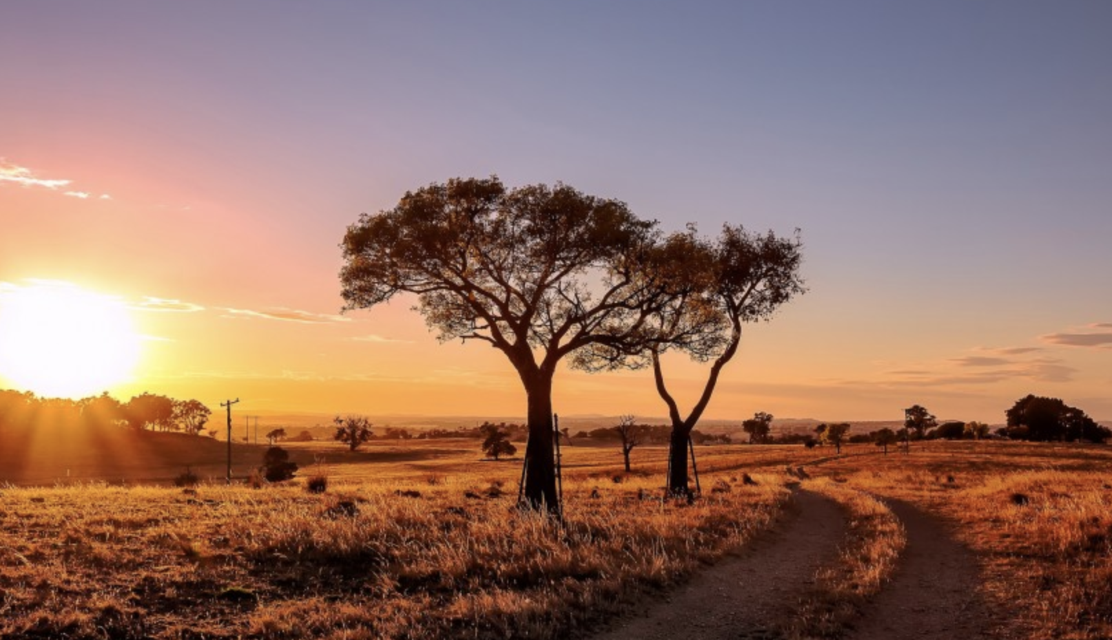 白羊座|智慧过人，却喜欢装傻充愣的星座，城府极深，心肠不坏，捉摸不透