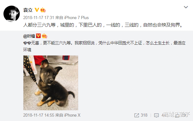 袁立|袁立分手后把狗偷走？其前男友发声嘲讽并还原真相