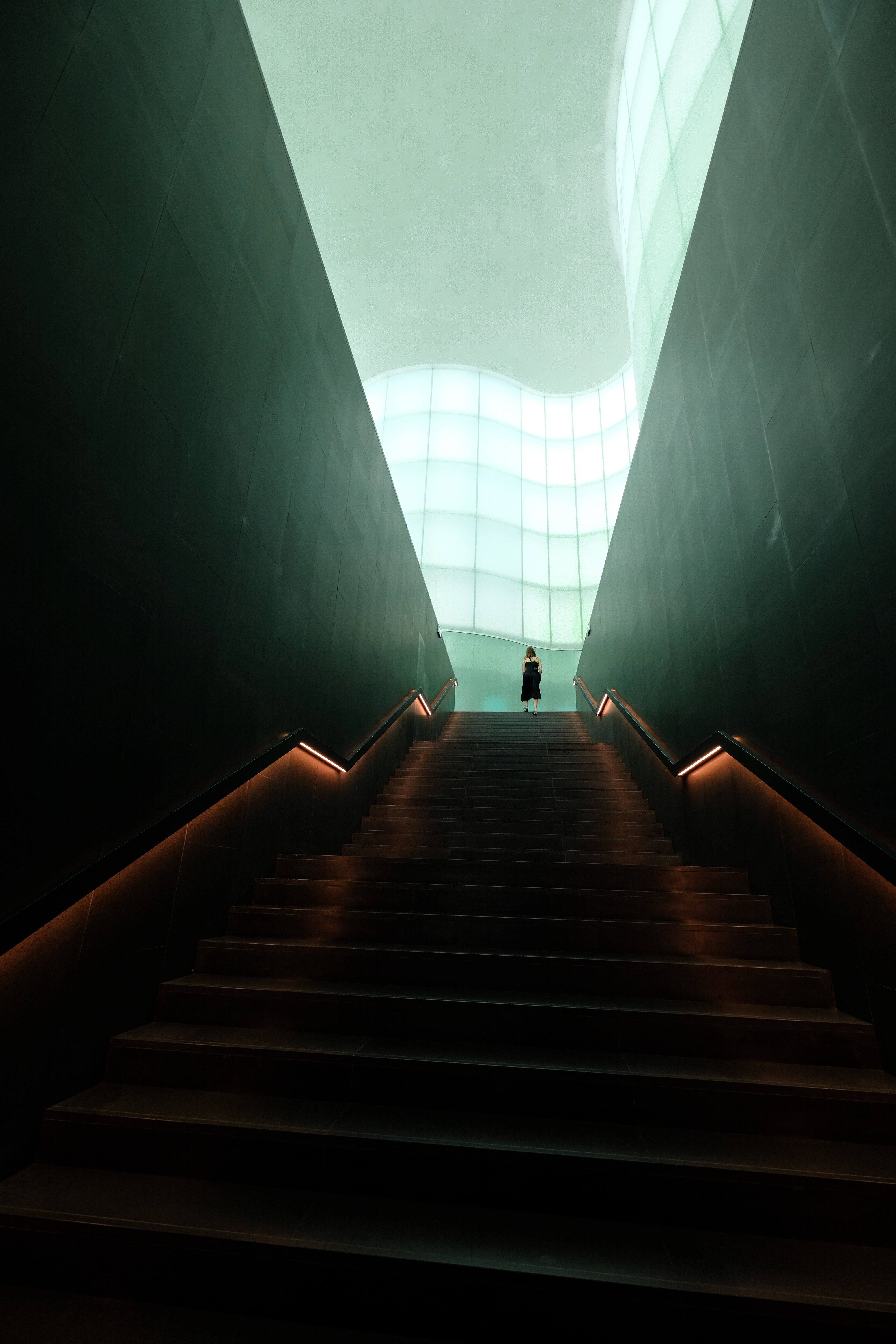 走私 自我放逐，50岁大叔放弃治疗。