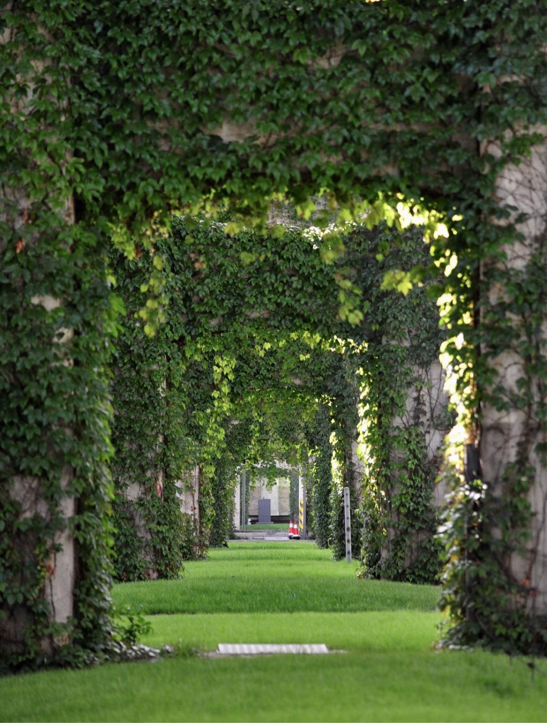 杭州 中国最美高架路，全长28公里没有一个红绿灯，犹如绿色“城堡”