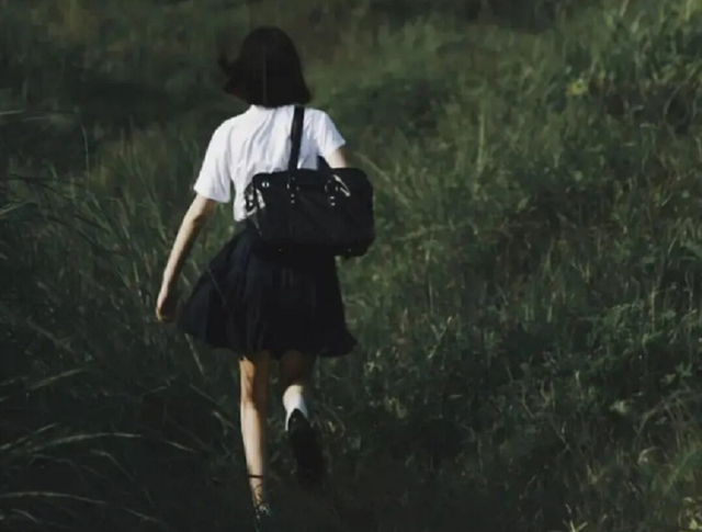 恐龙蛋化石 案情回顾:日本37岁男子囚禁9岁少女近10年,施暴时用电击枪