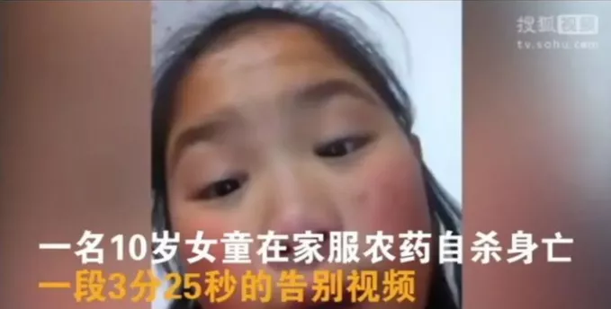 碰瓷|14岁少女的千字遗书:蒲公英之死