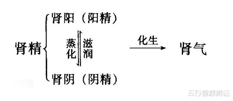 五行健康辨证|咽炎总不好，可能肾阴少！中医：分享7个养护肾阴的小方法