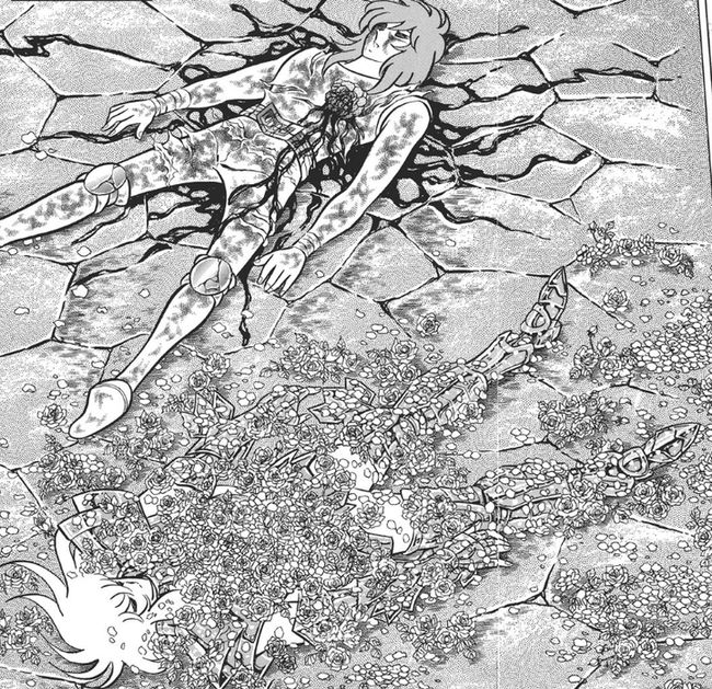 玫瑰|《圣斗士星矢》十二宫战斗中纱织为何不救卡妙和阿布罗狄？