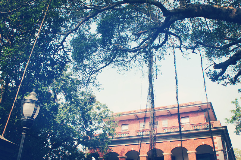 青训|2021“铁饭碗”职业排行榜,考生家长可以参考查阅!