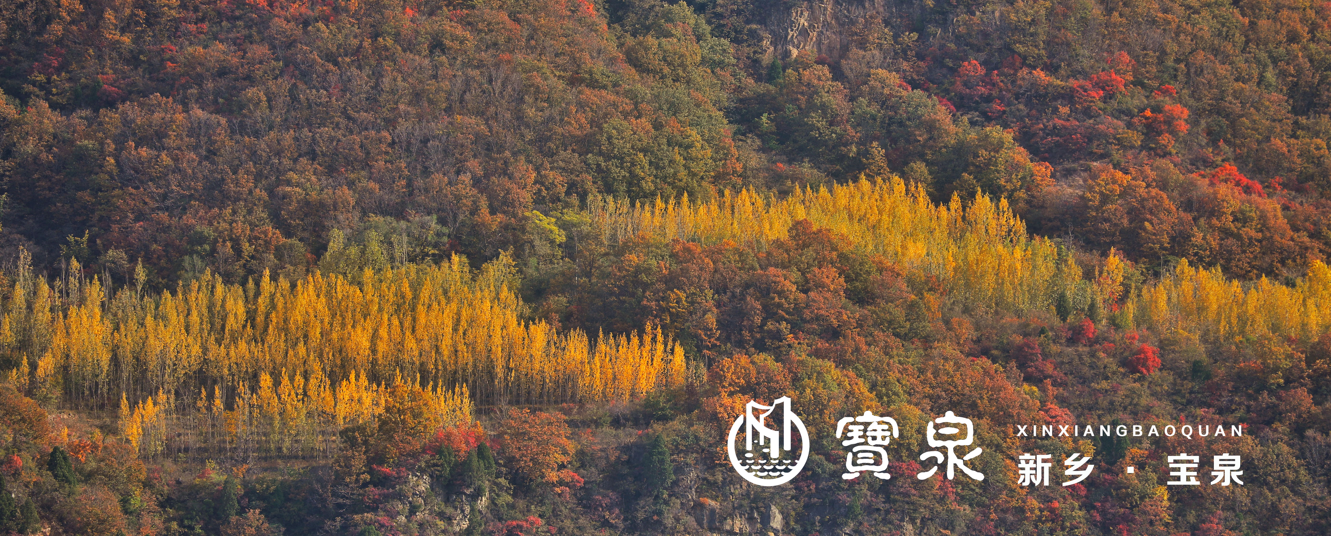 |满目皆欢喜，送你一卷初冬画册