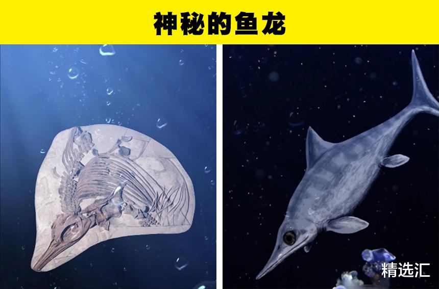哺乳动物|带有青蛙脸的龟?近些年来,人类找到的6种新的史前生物