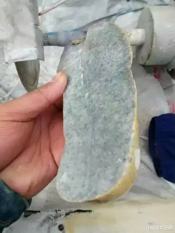 报国寺|明晃晃的大白肉,开出115万的高价,多少人抢着买!