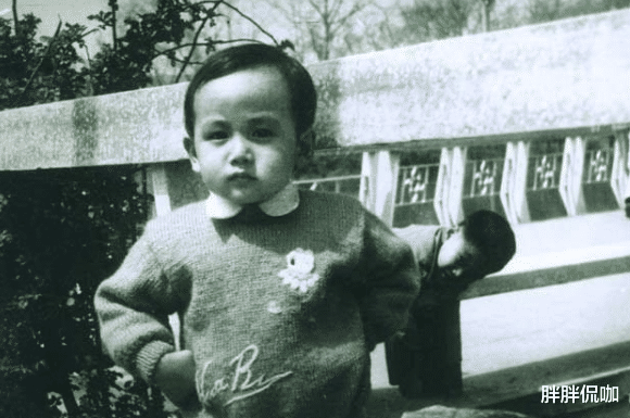 你是我的荣耀|初代国民偶像——陆毅的瓜