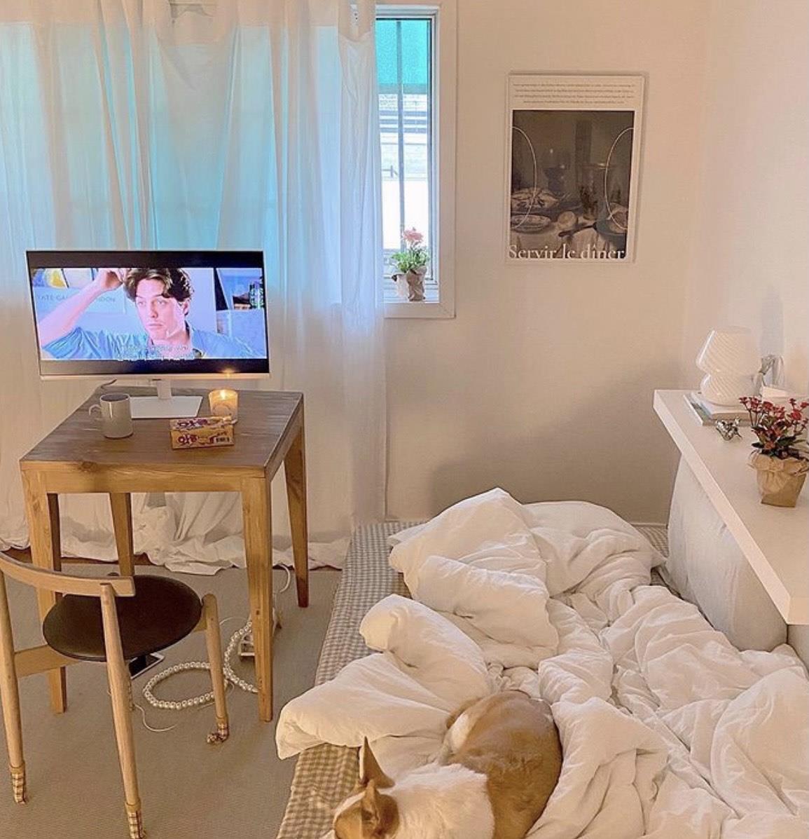 一人独居,有犬相伴,小窝虽然不大,她却过出了诗和远方,羡慕!