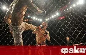 UFC|一腿踢晕对手，却折断自己胫骨！伤敌八百自损一万……