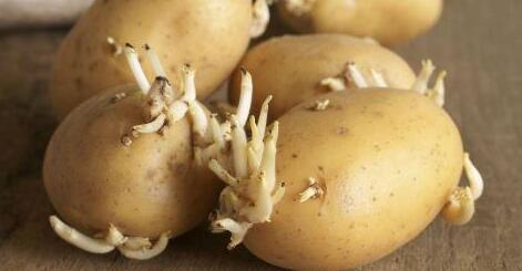 肝脏|吃蔬菜有益健康，但这几种不建议吃，南瓜上榜