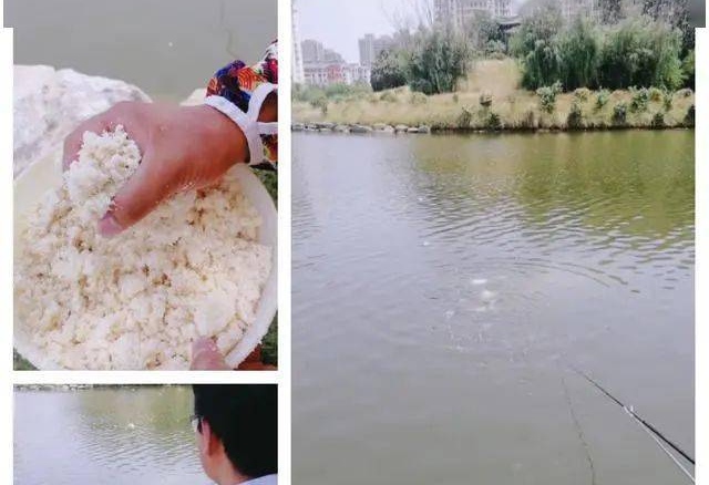 猪肉|五种野钓大鱼的神饵,都藏在你家的厨房,老钓鱼人都在偷偷用