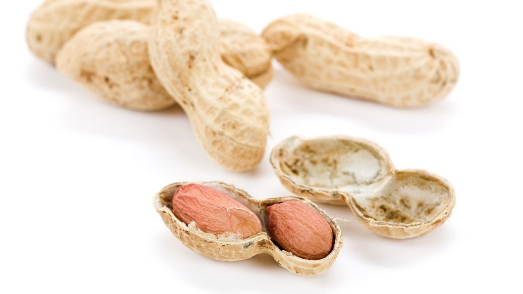 花生 花生能软化血管?了解花生的正确打开方式,还有助于美颜减肥