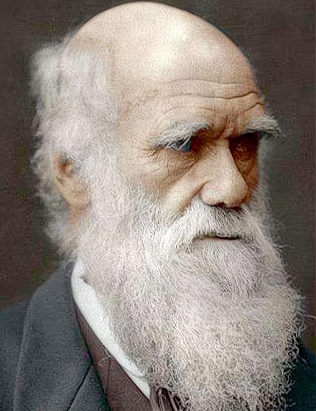 航天 梦呓随谈丨起底人类起源之谜