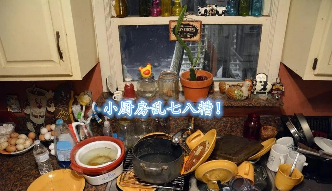 |“冰箱式”厨房,国外早就很流行了!看着像柜子,打开该有的都有