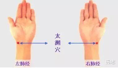 营养膳食|太渊穴—手太阴肺经母穴（一）