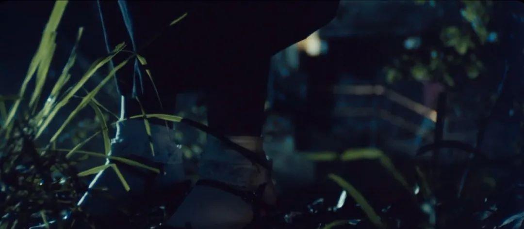 朱之文|香港“奇案”拍成B级片，我不奇怪，但女主角是赵雅芝，我没想到