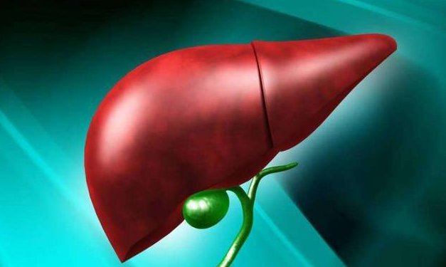 肝脏|男性早起有3现象,肝脏或已“烂如蜂巢”,一个不占,肝还算健康