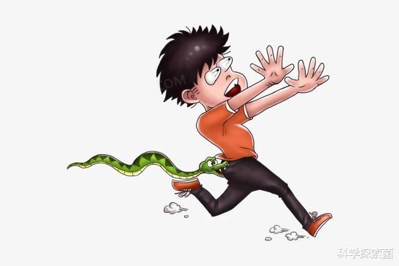 毒蛇 俗话说打蛇打七寸，这个七寸在哪儿呢？蛇的弱点是什么？