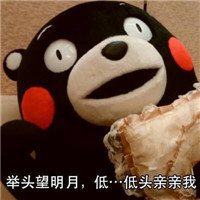 桉月|熊本熊 何以解忧唯有抱抱你