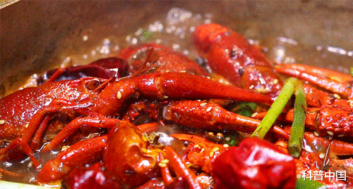 腹泻|为什么有的人一吃辣、紧张、着凉就拉肚子？多年疑问终于解开了