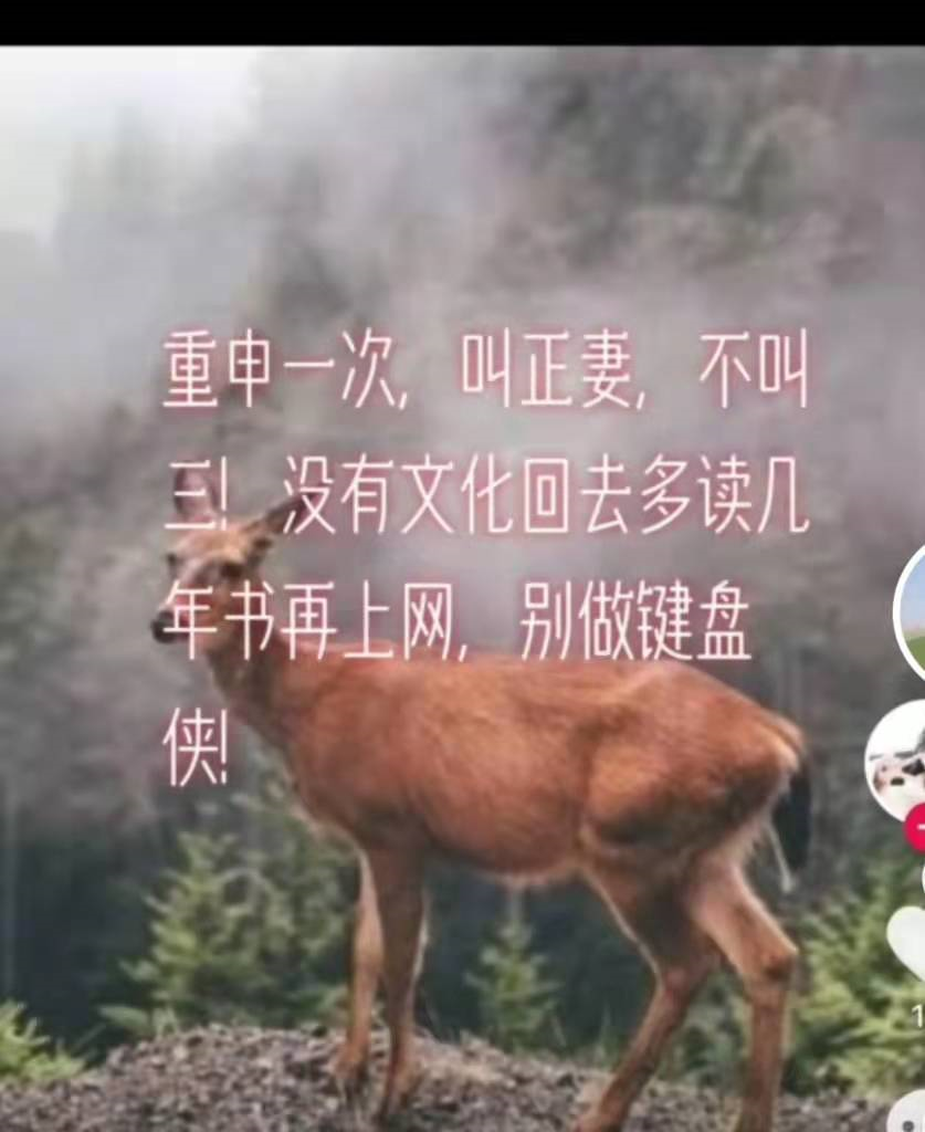 林生斌|林生斌现任妻子发声：我们问心无愧，种种迹象让网友不寒而栗