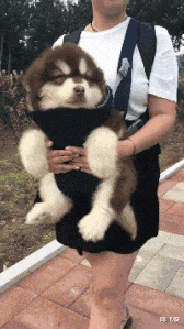 陈飞俊|你被人拿枪指着头,正确唱完一首歌就能脱身,否则得死,你会选哪一首?