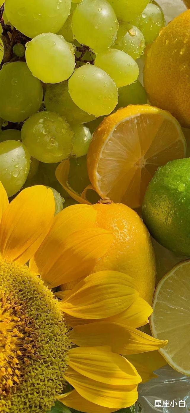 星座小白 哪些星座看起来更配